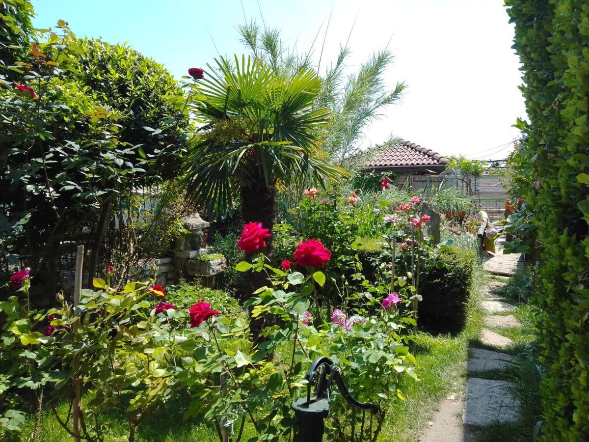 Guest House Amazonia 바르나 외부 사진